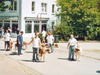 2004